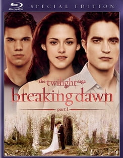 Twilight Breaking Dawn Book